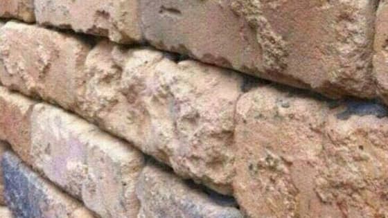 This is not just a brick wall - What in the world is going on here?