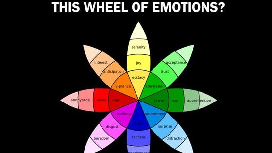 According to Prof. Robert Plutchik's emotional wheel - there are 8 primary emotions, and which one of them has its own color. 
Take this 8-question test based on his research, and discover who you really are! 