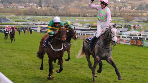 We want to know how many winners you think will win at both The Open Meeting at Cheltenham and Cheltenham Festival