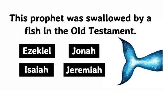 They say a thorough knowledge of the Bible is worth more than a college education.  Do you agree?