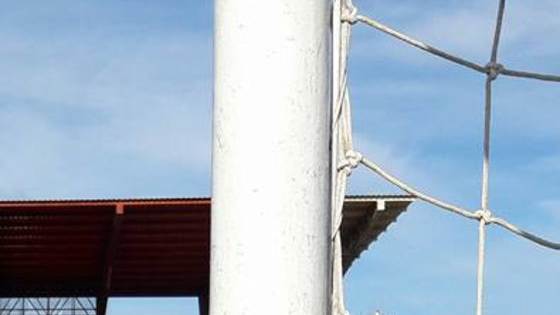 Enquete: cruzeirense, você aprova a chegada do meia-atacante Thiago Neves?