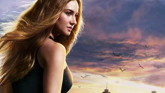 Have you ever wondered what your Divergent faction is? Take this placement test and find out NOW! 