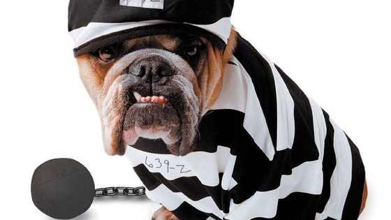Do you wind up in prison as the snitch - or the Warden?