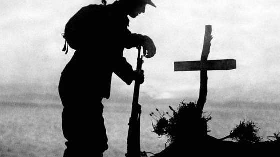 The war fought between July 28, 1914, and November 11, 1918, was known at the time as the Great War and cost the lives of millions. How much do you know about "the War to End All Wars"?