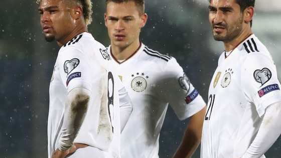 Must-see sporting fixtures in the New Year.
