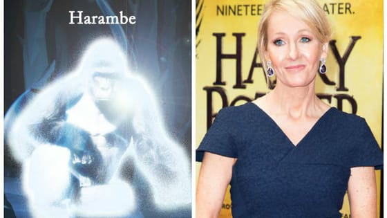 In the wake of the advent of the Pottermore patronus quiz, people quickly responded by making the deceased gorilla Harambe an option for a patronus as a joke. Do you think it was funny?