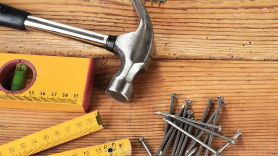 Every job needs a tool to complete it. What tool most defines your own work? 