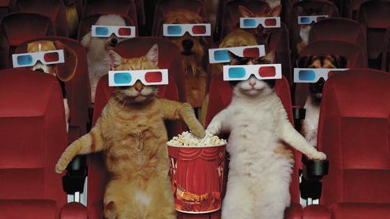 Would you pay more for a movie ticket if you knew it went toward heightened security?