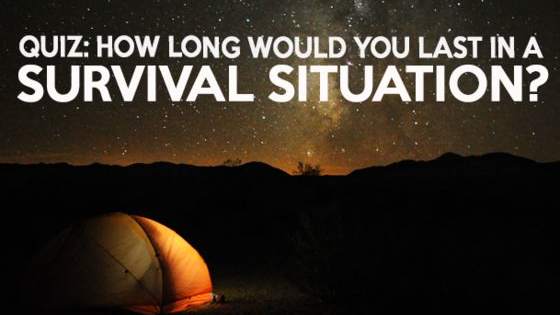 We all like to think we'd turn in to Bear Grylls if ever we found ourselves stranded in the jungle or in the middle of a desert - but how sharp are your survival instincts really? 