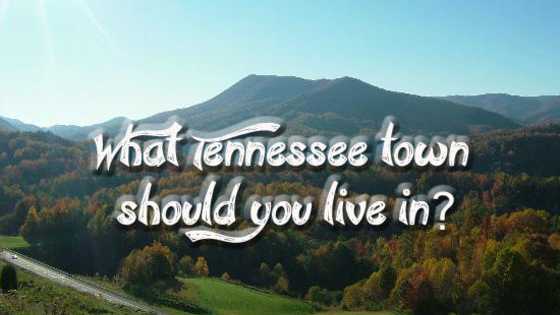 Created by a Tennessee expert, find out what town in the state best suits you. 