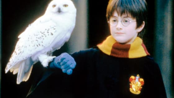 It's been 15 years since Dan, Emma and Rupert starred in their first film installment of the series. (Bloody hell!)