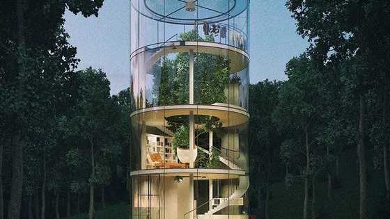 Volvé a tu infancia y descubrí estas espectaculares construcciones. Votá la que más te guste.