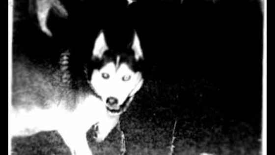 Find out what creepypasta you are.