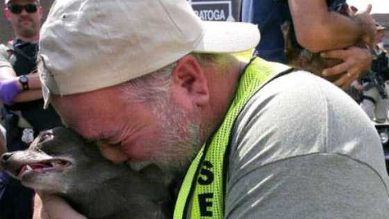 It's been 10 years since Hurricane Katrina. Thousands of people were affected, and so were their beloved pets. Here are a few touching photos of rescue dogs and people's pets that braved through the storm. 