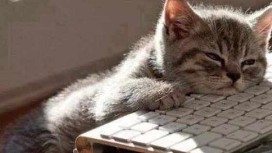 This is a quiz that tells you if your Lazy, clean, and more!