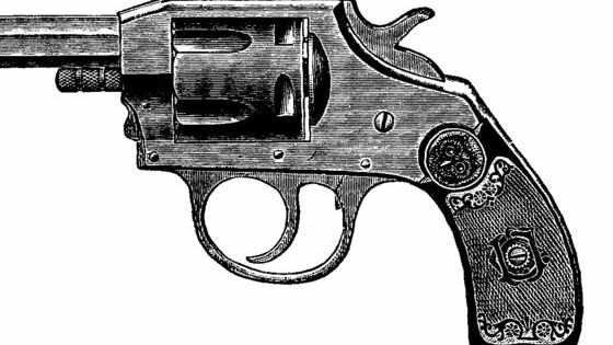 Take this quiz to see what you DON'T know about firearms.
You may be surprised!