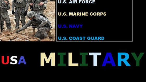 This test is meant to be taken seriously. This is not a test for entertainment. Use this test if you want to serve the United States of America and don't know what branch to choose. NOTE: You do NOT have to join the United States Military. It is an option.