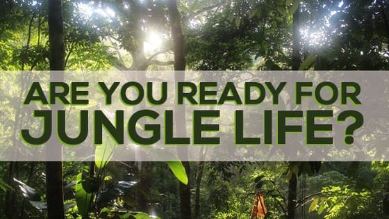 Do you want to know if you're ready to join our camp in Costa Rica? Do the quiz! 

www.frontier.ac.uk | blog.frontiergap.com