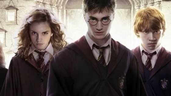 Take this fun quiz and find out who you'd get along best with at Hogwarts!