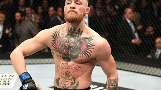 Who had the best knockout in UFC this year?