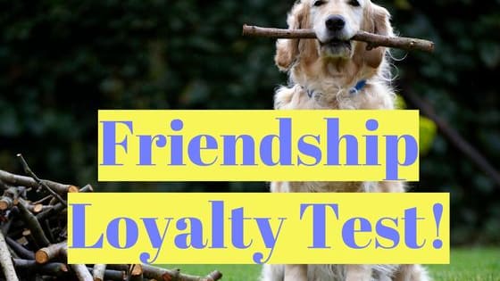 Your answer to these situations will tell us how much of a  loyal friend you are. 