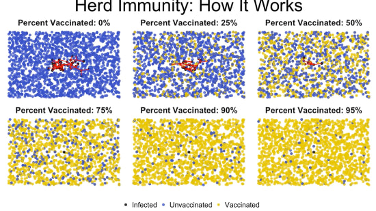 The concept of Herd Immunity is becoming more popular and a gif has been created to help us understand the concept in just 6 seconds!!