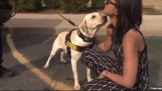 Everyone deserves a second chance at life, and Officer Luke proves that anyone can make a comeback!