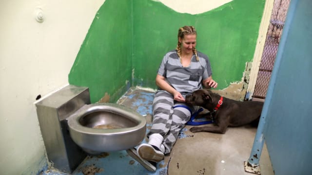 The Maricopa County Sheriff’s Office Animal Safety Unit, or MASH for short, has been rescuing abused animals since 2000, but now it's also serving as a place of healing for inmates from local prisons who come to help the animals. Find out more here!
