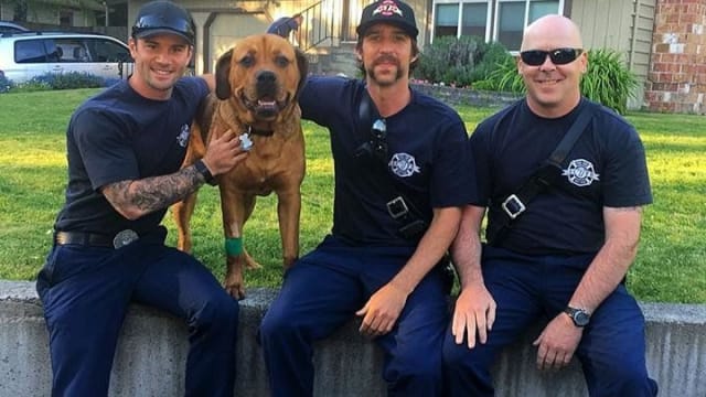 When they got a call to rescue a dog from a burning building, the firefighters of Snohomish County Fire District 7 of Washington state rushed in to save him and even continued efforts when it looked like all hope was lost. Find out more here!