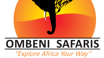 Going on Kenya Safari Tours is always fun and adventurous giving you an experience of a lifetime. Kenya safari tours offer you an array of activities and destinations which are full of undiluted fun. Imagine a day spent in Kenya going on wildlife safaris and tours. When you pick any Kenya safari tour packages you are taken to the finest destinations of this east African nation. During your Kenya wildlife tours, you get to enter the immaculate wilderness and see internationally renowned habitats.