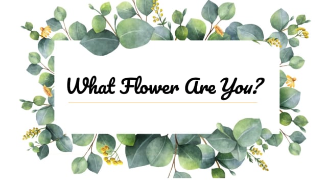 Spring has sprung. Very soon you will see beautiful flowers all over Myrtle Beach. Do you know what flower best represents you? Find out by taking our quiz below!

Don't forget to visit, Marketcommoninsider.com!