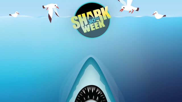 Think you're a Shark Week super-fan? Well, we've got something you can really sink your teeth into. Get ready for the biggest pop culture event in the TV calendar- how much do you really know about Shark Week..?!

Don't miss Shark Week's 30th Anniversary starting on July 23rd