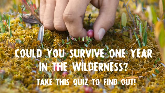 It's a jungle out there. You may think you know what to do when you're confronted with a bear, or stranded on a desert island, but this survivalist quiz might say otherwise. Do you have what it takes to spend an entire year in the wilderness? Take this survival quiz to find out.
