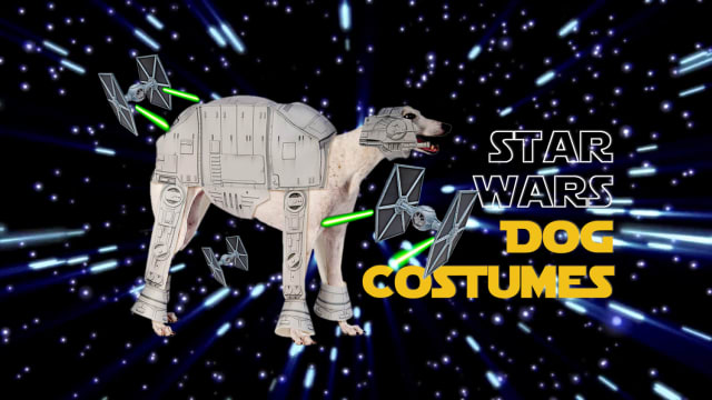 These dogs wearing hysterically funny Star Wars dog costumes win Halloween. Which Star Wars dog costume do you think is the funniest?