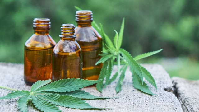 CBD products are a great supplement to the cooler temperatures this fall.