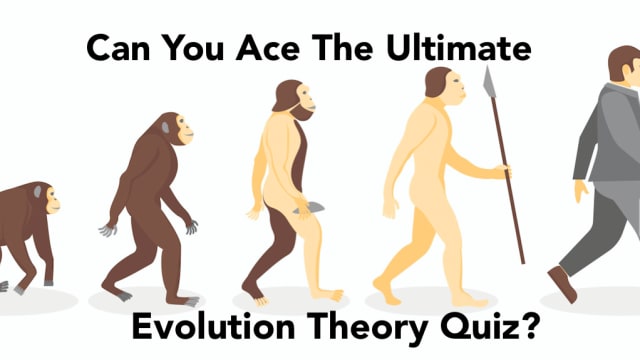 How much do you know about human evolution according to Charles Darwin?