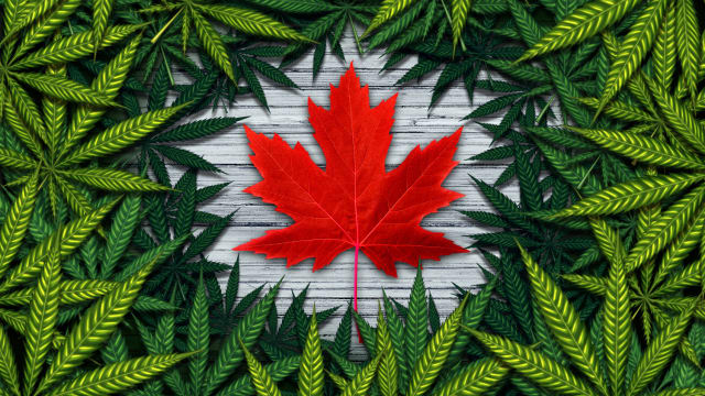 As Canada begins to ramp up its Cannabis sales, what effects can this have on the rest of the world? Will more countries follow suit?
