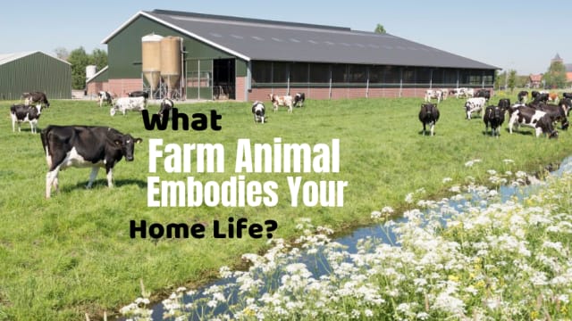 How you spend your time at home is similar to how typical farm animals like to spend theirs. Find out which farm animal embodies your home life by taking this quiz.