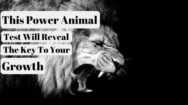Power animals are apart of the indigenous American culture. Everyone has a power animal, it helps you navigate the practical side of life. What is the key to your growth?