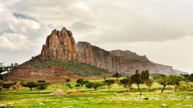 In Northern Ethiopia, the spiritual and natural world are completely connected; with forests disappearing at an alarming rate, an even greater onus is placed on the church, and on the (seemingly) unbreakable bond between faith and nature. Find out more below.