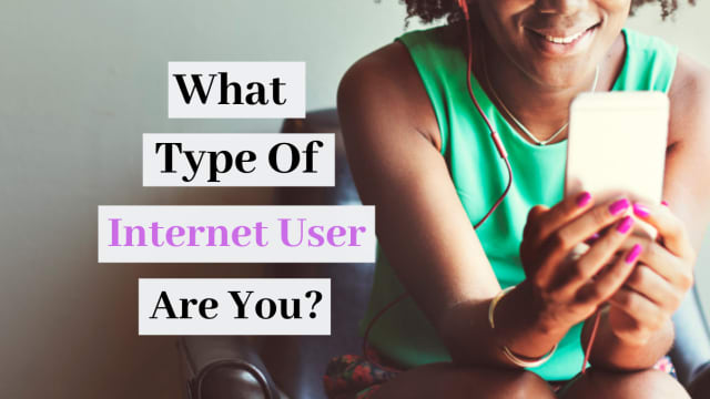 We spend a crazy amount of time on the net. What type of internet user are you?