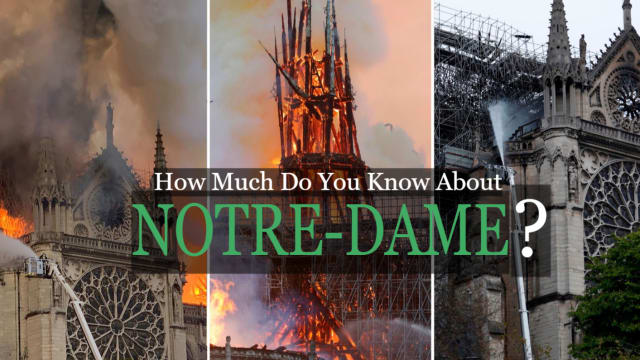 Relive the storied history of this infamous landmark as the world pushes for restoration after the Burning of 2019.