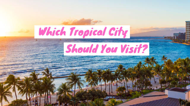 Going to a tropical city is a great vacation destination. These cities offer nature, sandy beaches and hot weather in addition to everything you would get in a city like shopping, tons of restaurants and festivals. Which city should you visit this summer?