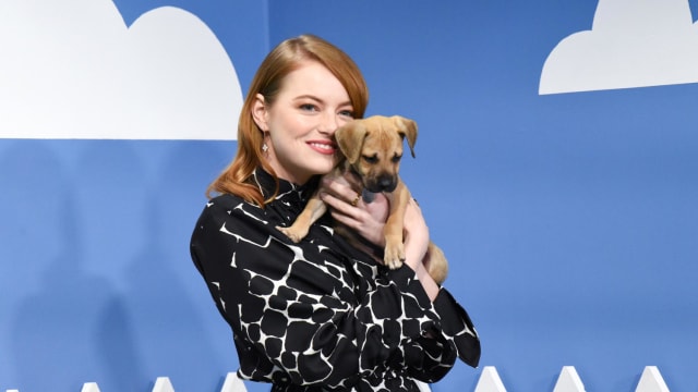 It's always better to adopt a doggy than to buy a puppy from the pet store. These stars could have bought a designer puppy, but they opted for the adoption route and gave a home to a dog in need. Cute!