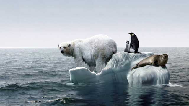 How much do you actually know about climate change. It's coming, and you need to know the facts! See how much you know with this comprehensive quiz.