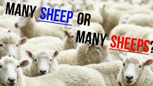 Sheep or sheeps? Definitely or definately? Do YOU know which English word to use?