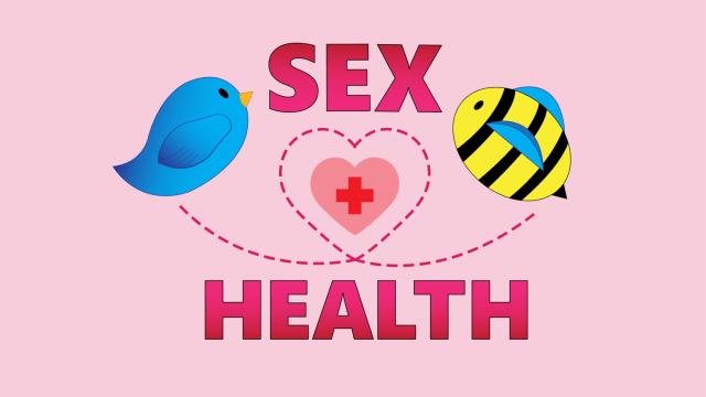 By The Signal reporter Liliana Marin

-----

Sexual health is about making safe decisions for oneself when it comes to sex. It is important to know how one can access sexual health education and care, as well as how to manage sexual wellness. Take the quiz to see if you are sex health savvy.