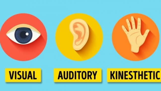 Out of the three main learning styles, which do you most prefer?