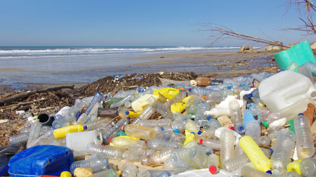 By The Signal reporter Kirk McDaniel
-----
Single-use plastics are a leading cause of pollution on land and in the sea. Many plastics that are used in the food and shopping industry will take up to 1,000 years to decompose. Simple behavior and lifestyle changes can cut back on waste and save consumer's money.