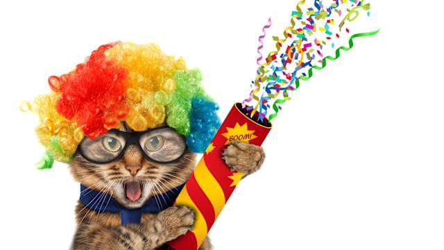 Can you guess from the pictures what these cats are dressed up as?  
